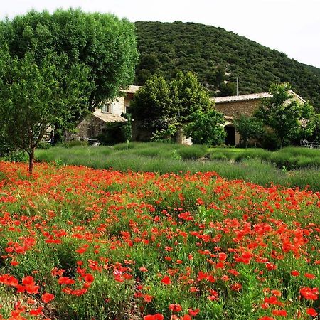 Le Mas De La Fontaine Bed & Breakfast Le Pegue Dış mekan fotoğraf