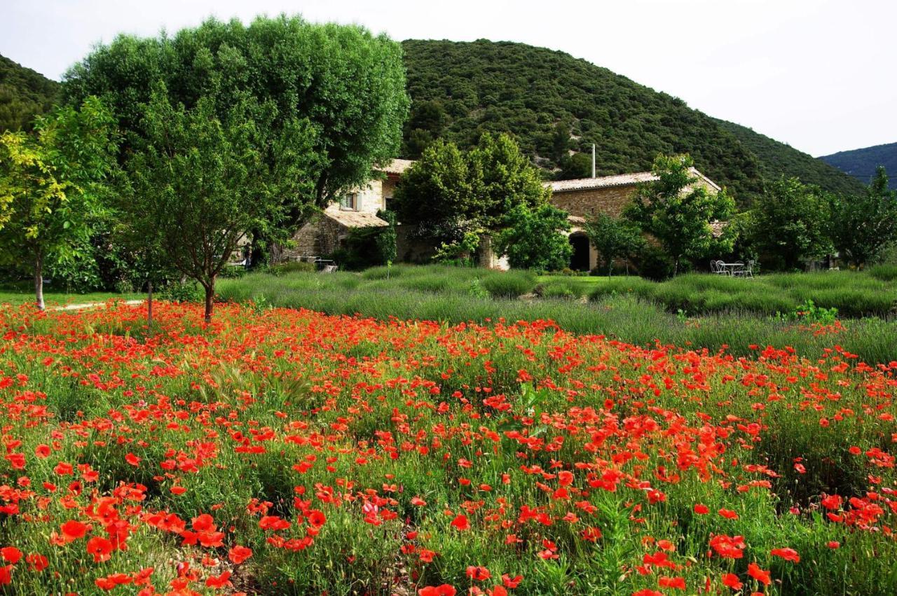 Le Mas De La Fontaine Bed & Breakfast Le Pegue Dış mekan fotoğraf