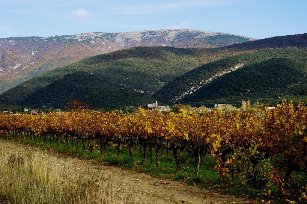 Le Mas De La Fontaine Bed & Breakfast Le Pegue Dış mekan fotoğraf