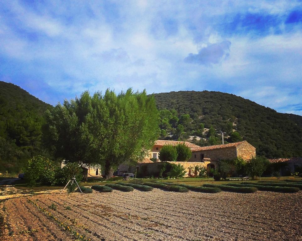 Le Mas De La Fontaine Bed & Breakfast Le Pegue Dış mekan fotoğraf