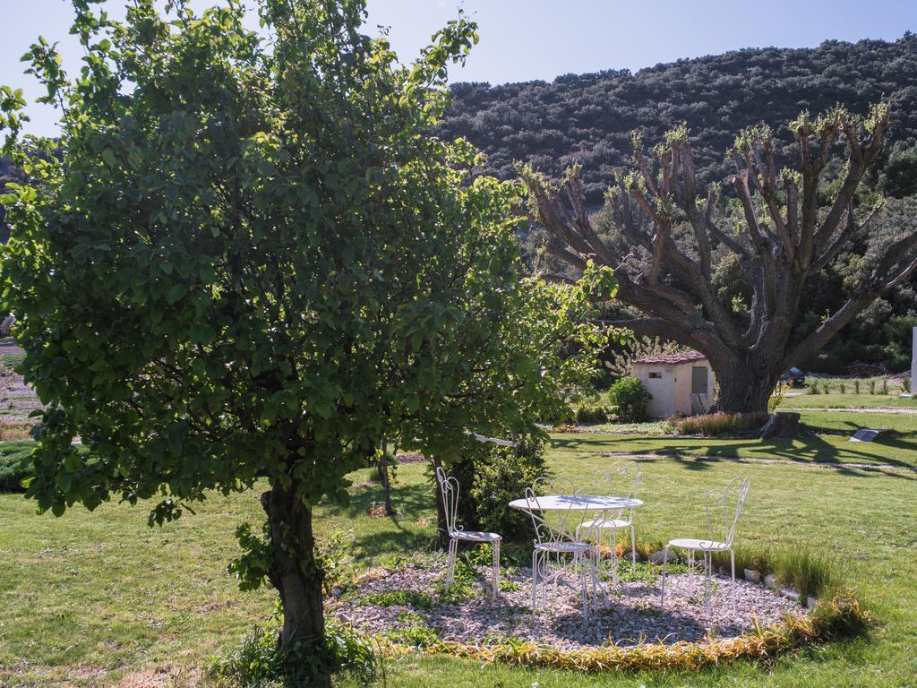 Le Mas De La Fontaine Bed & Breakfast Le Pegue Dış mekan fotoğraf