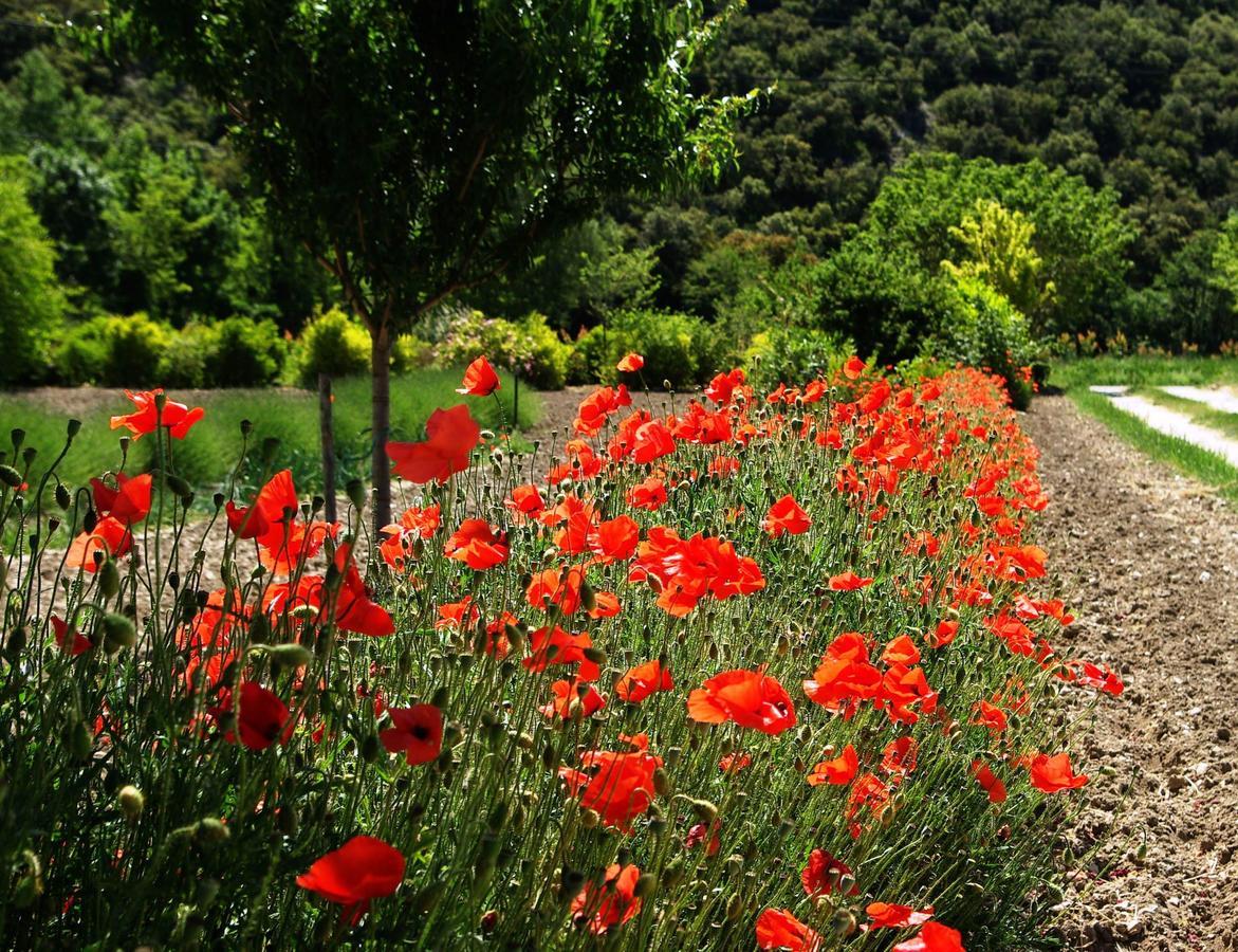 Le Mas De La Fontaine Bed & Breakfast Le Pegue Dış mekan fotoğraf